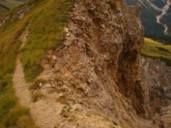 2013-09-08_6Falkenh-Steinfalk (202)13.JPG